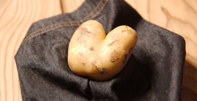 Gemüsenormen und Foodwaste